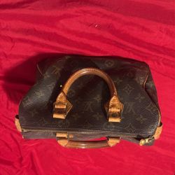 LV Purse 