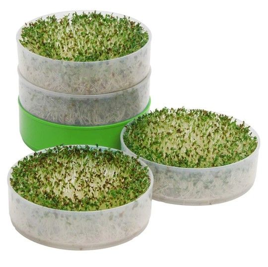 Kitchen Crop Seed Sprouter