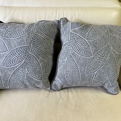 2 Throw Pillows Couch 