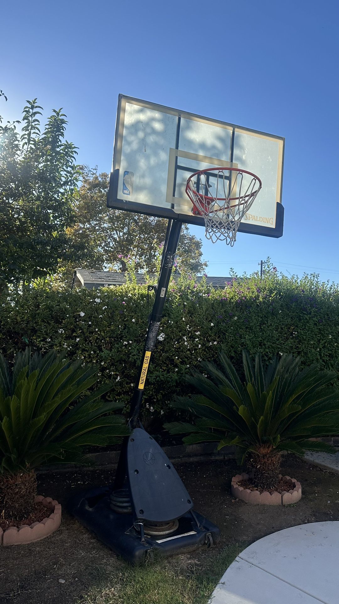 Basket Ball Hoop 