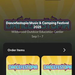 2 VIP 3-day Tickets To Dancefestopia 