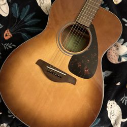 Acoustic Guitar