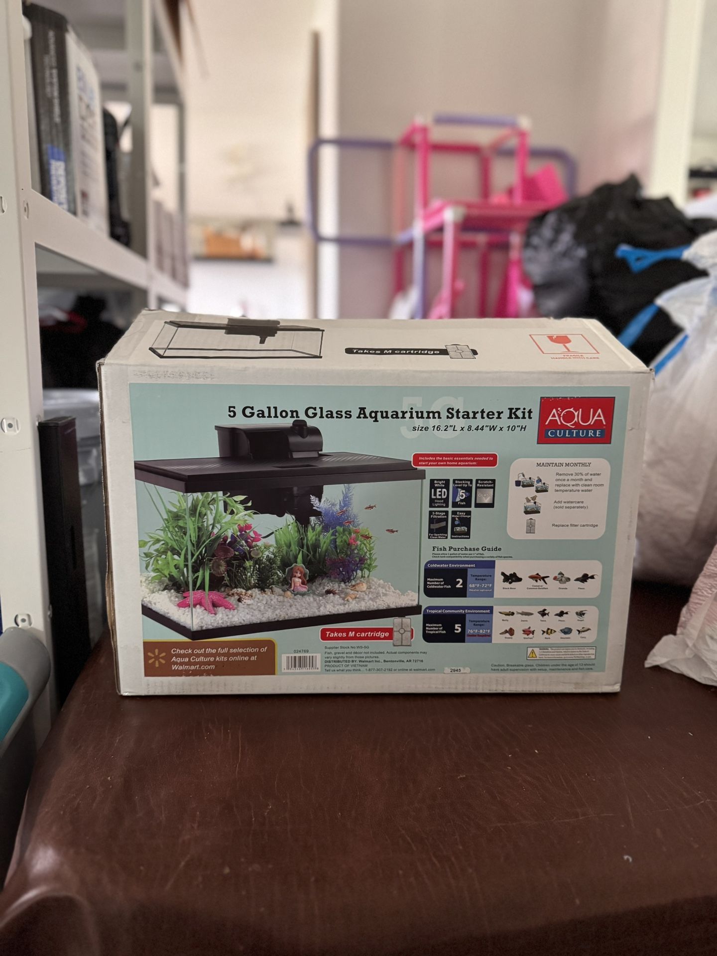 5 Gallon Fish Tank