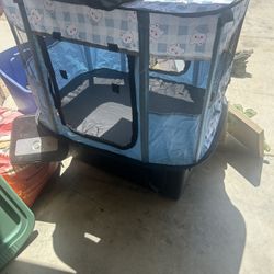 Dog Tent 
