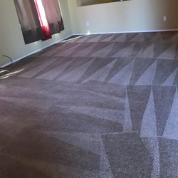 Carpet Cleaner 
