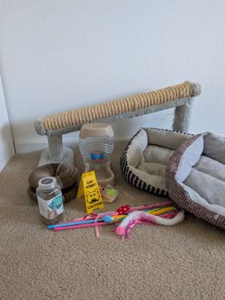 Cat Supplies Bundle – Scratching Post, Beds, Feeder, Toys & More