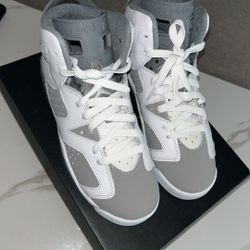 Jordan 6s 