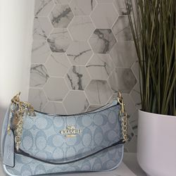 Inspired Coach Bag 