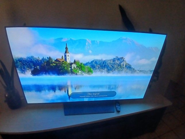 LG OLED 4K HDR Smart TV - 55" Class (54.6" Diag)