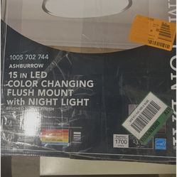Color Changing Ceiling Light