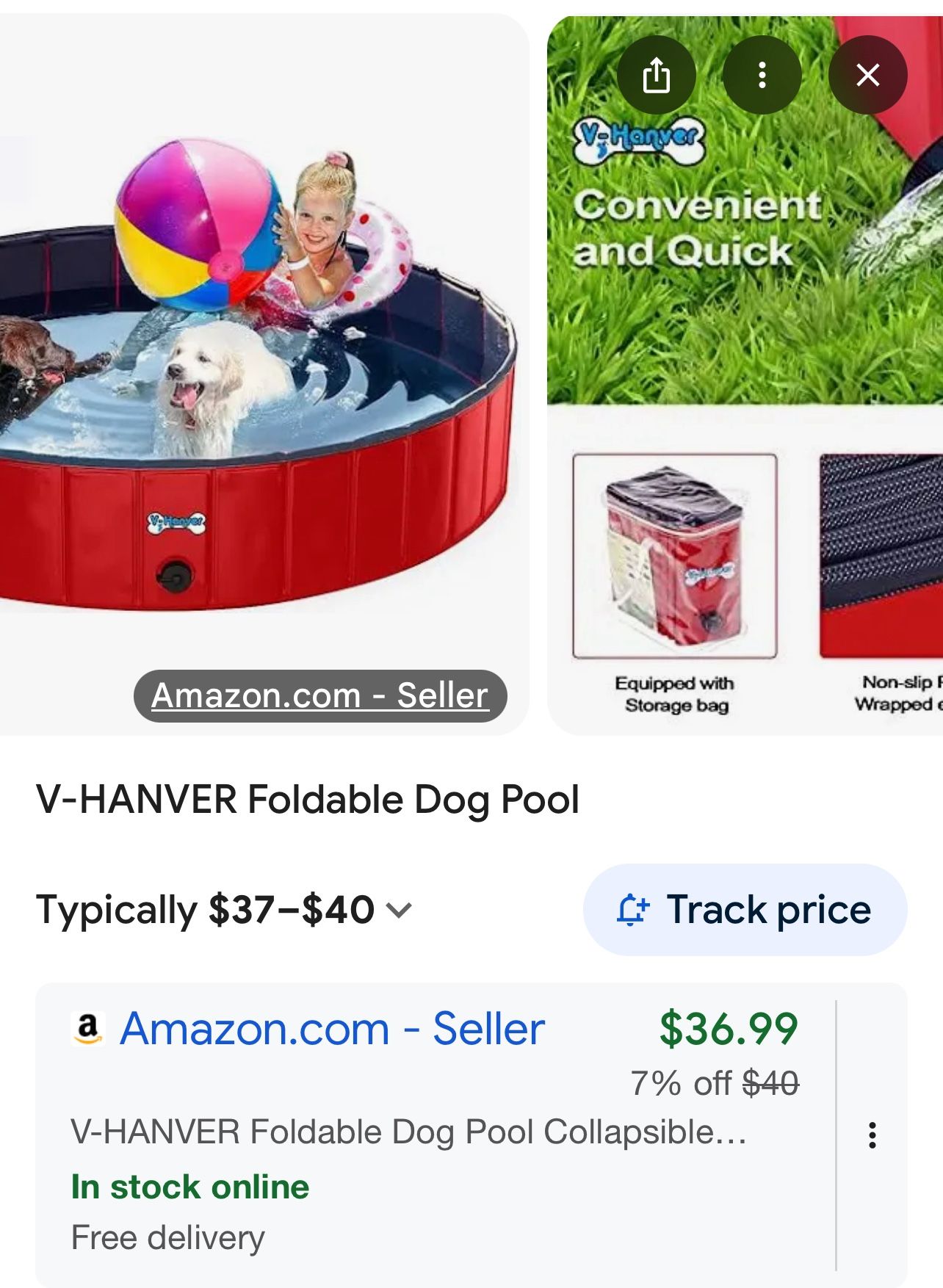 Collapsible Pet Pool