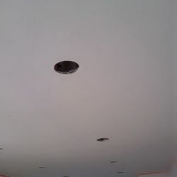 Drywall, Wood Floor Paint 