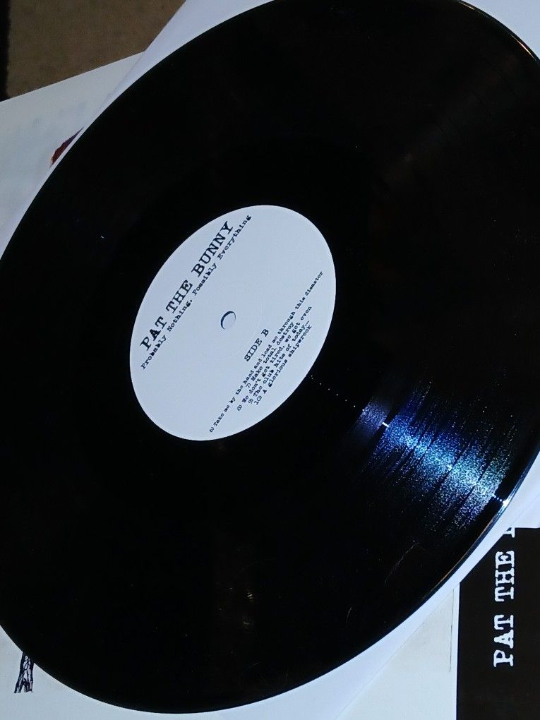 ORIGINAL Pat The Bunny FIRST PRESS Probably Nothing, Possibly Everything (2014)  FOLK Tuscon AZ. PUNK Vinyl Record HTF