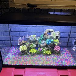 AQUARIUM 29” Gallons .. LIKE NEW
