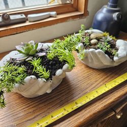 Cement Succulents Planters 