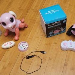 Girls Robot Remote control toy and Remote control dog .. both pink color $30
