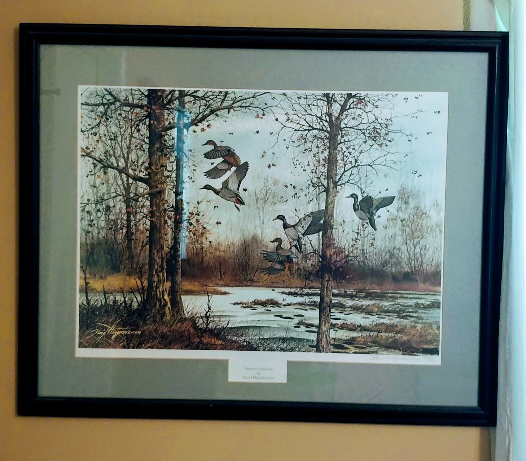 ducks unlimited painting