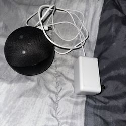 amazon echo dot 5th gen 2022