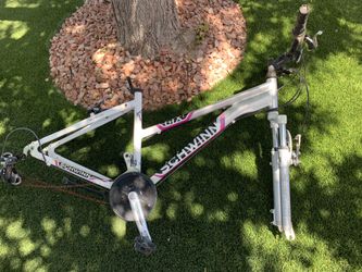 Schwinn bike frame