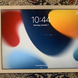 Apple iPad Air 2nd Generation 16GB Unlocked Like New!