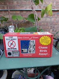 New In Box BIRD CHASE SUPER SONIC