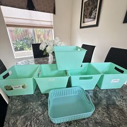 Bin Organization 