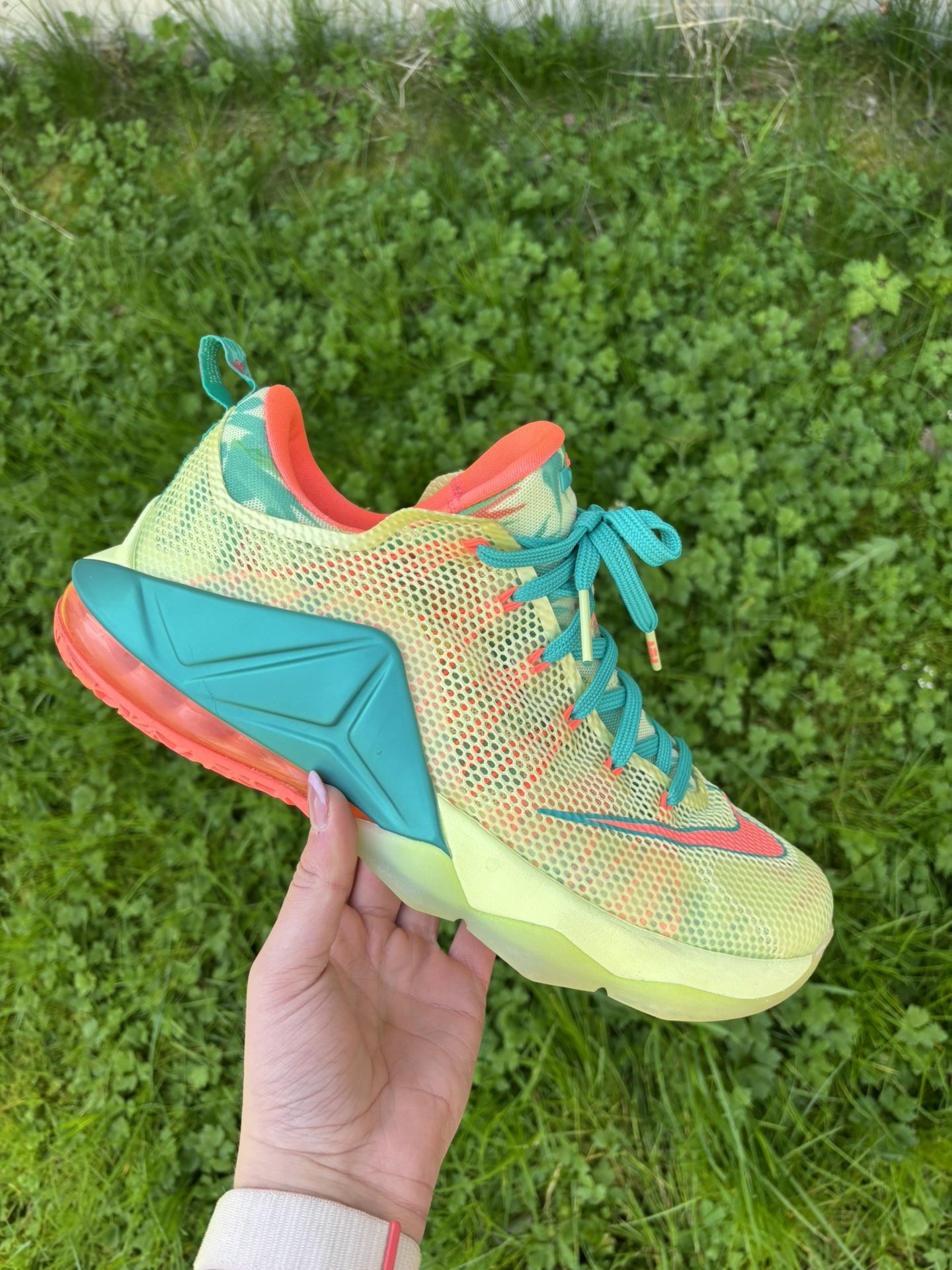 LeBron 12 Low LeBronold Palmer