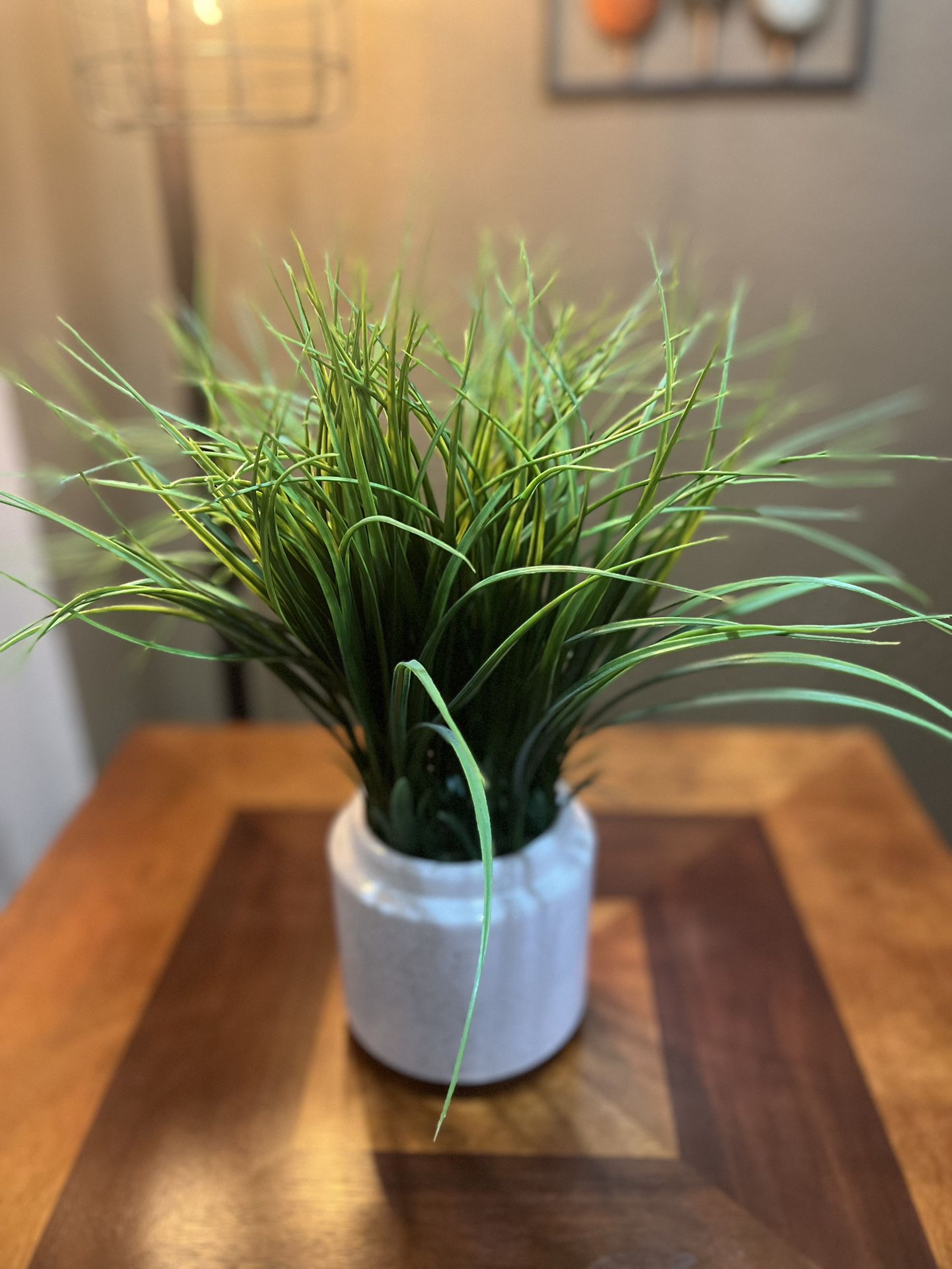 Decorative Non-living Plant 