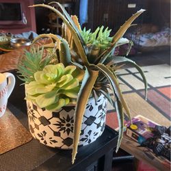 12”x8” Nice Pot Artificial Succulent A. Looks Real 