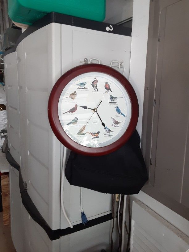 Bird Clock