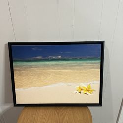 Moving Sale $30