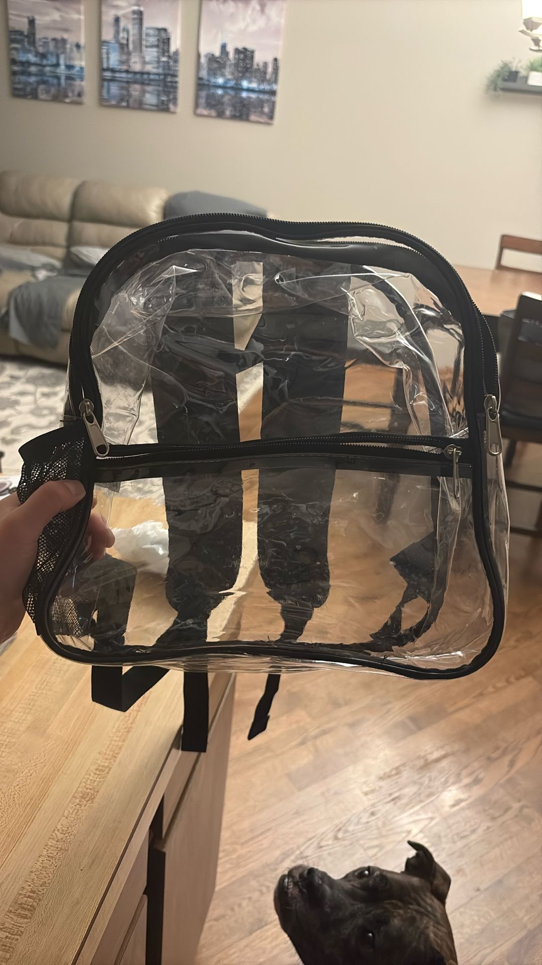 Clear Bag 