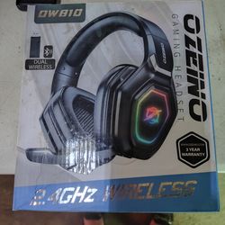 Ozeino Gaming Headset