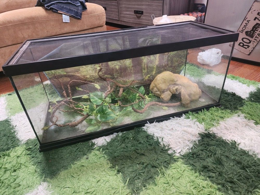 20 Gallon Long Reptile Tank