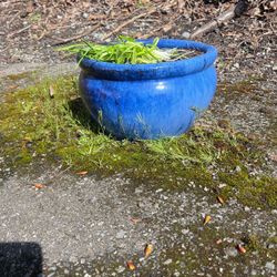 Blue ceramic Plant Pot