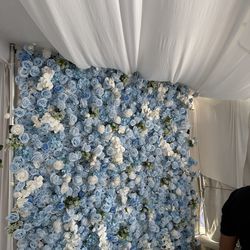 Flower wall backdrop 8x8 blue and white REN