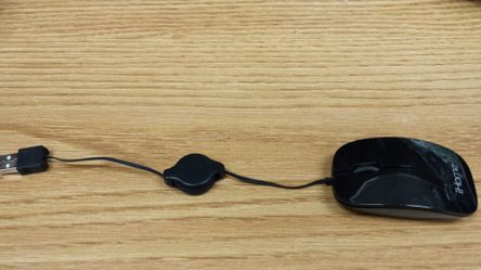 Mouse