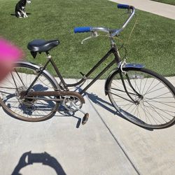 1973 Women's Schwinn Bike