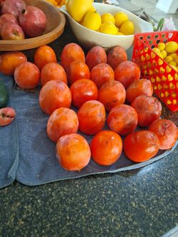 Hachiya Persimmons $1 Each