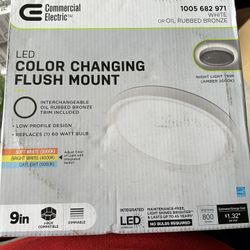 9in led color changing 