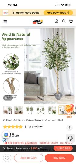 6 Feet Artificial Olive Tree in Cement Pot