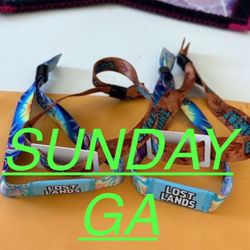 Lost Lands Music Festival 2025 (SUNDAY ONLY GA)- $200 Each