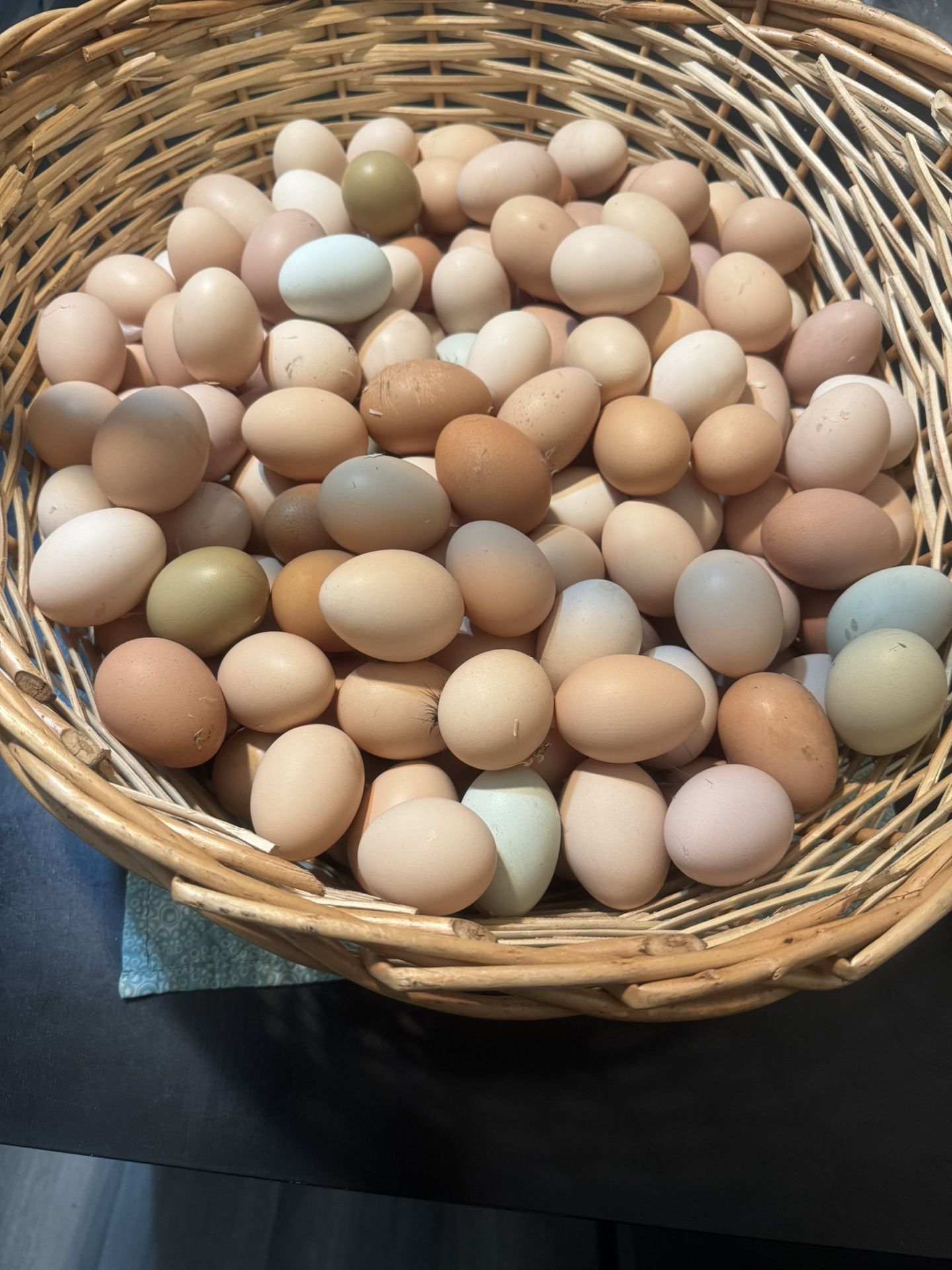 ORGANIC CHICKEN EGGS