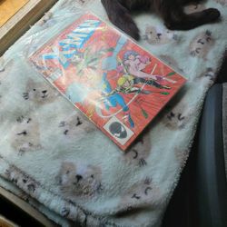 Marvel  The Uncanny X-Men Issue #218