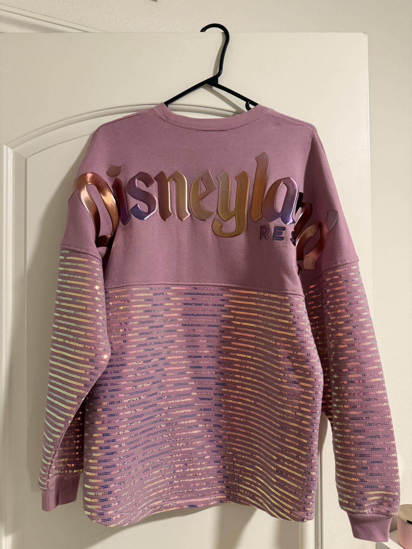 Disneyland Spirit Jersey 