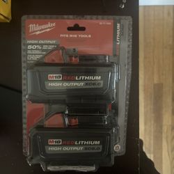 Milwaukee Battery’s 