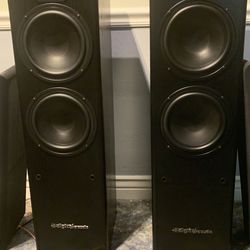 ❌👀Digital pro audio tower speakers