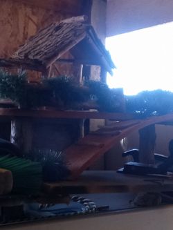 Nacimiento house