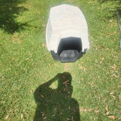 Large dog size doghouse 