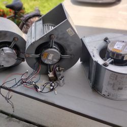Fan Motor 